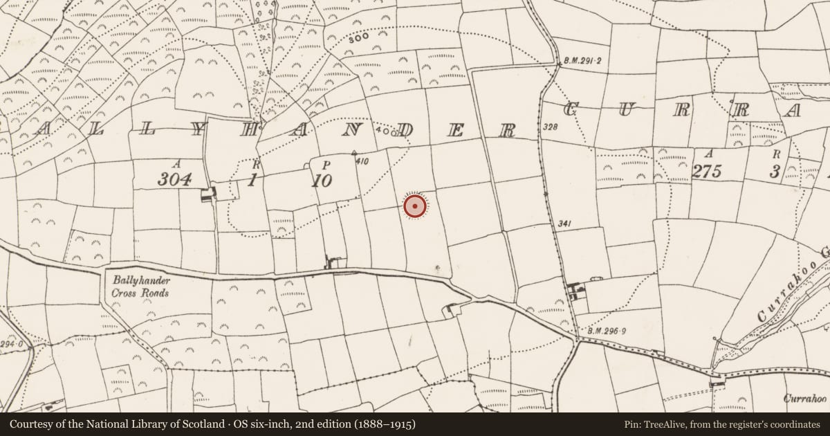 Ordnance Survey six-inch map, 2nd edition (1888–1915) covering the location of Ringfort - rath, Ballyhander, County Cork, with a pin at the register's coordinates