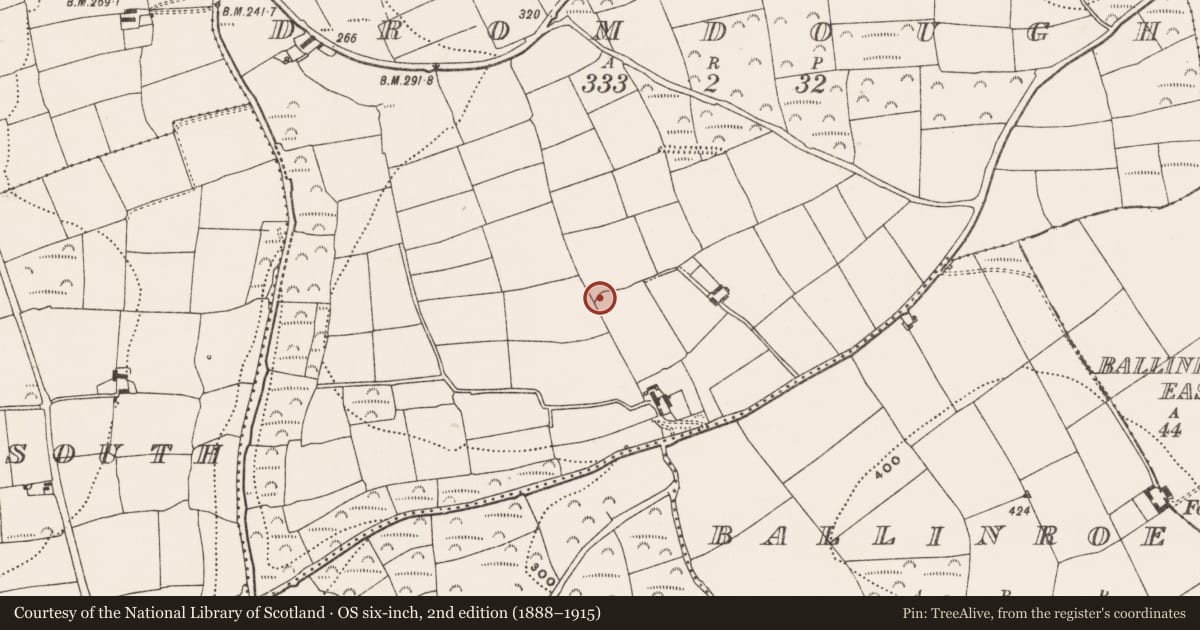 Ordnance Survey six-inch map, 2nd edition (1888–1915) covering the location of Ringfort - rath, Dromdough, County Cork, with a pin at the register's coordinates