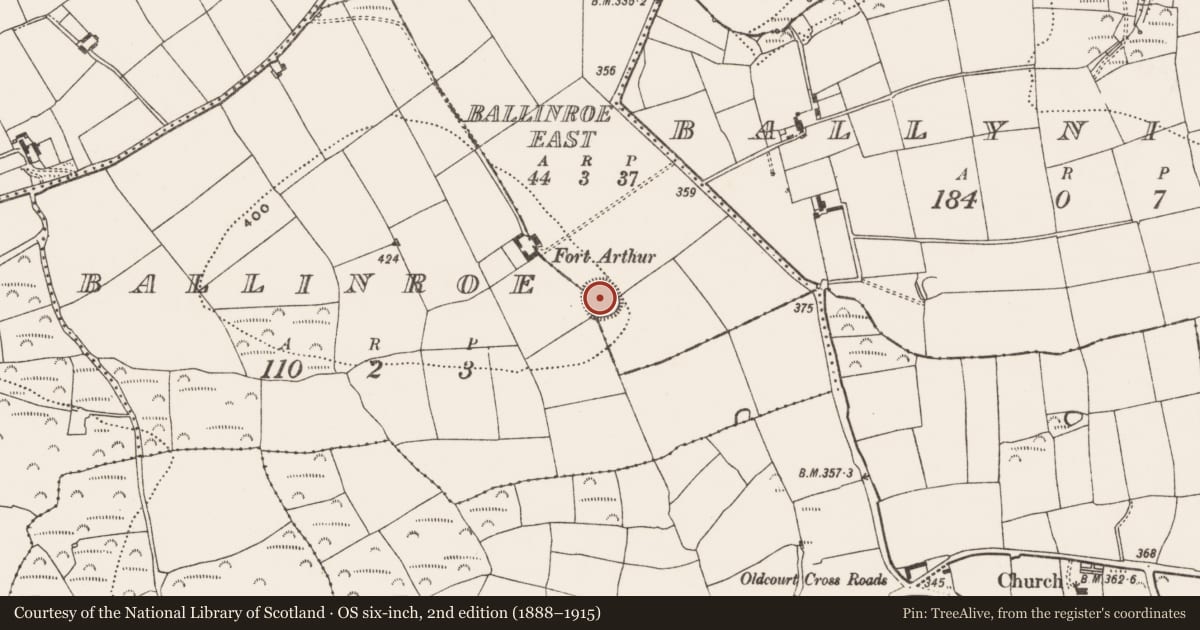 Ordnance Survey six-inch map, 2nd edition (1888–1915) covering the location of Ringfort - rath, Ballinroe East, County Cork, with a pin at the register's coordinates