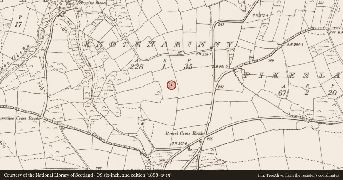 Ordnance Survey six-inch map, 2nd edition (1888–1915) covering the location of Ringfort - rath, Knocknabinny, County Cork, with a pin at the register's coordinates