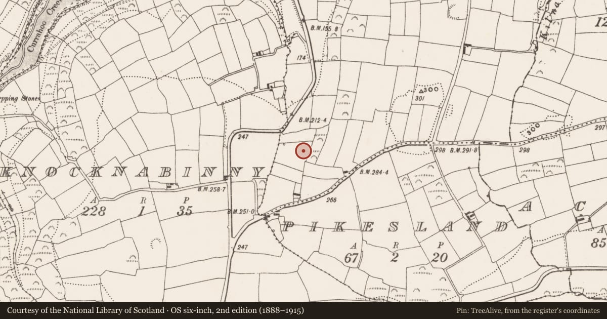 Ordnance Survey six-inch map, 2nd edition (1888–1915) covering the location of Ringfort - rath, Kilnacloona, County Cork, with a pin at the register's coordinates