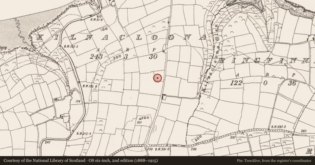 Ordnance Survey six-inch map, 2nd edition (1888–1915) covering the location of Ringfort - rath, Kilnacloona, County Cork, with a pin at the register's coordinates