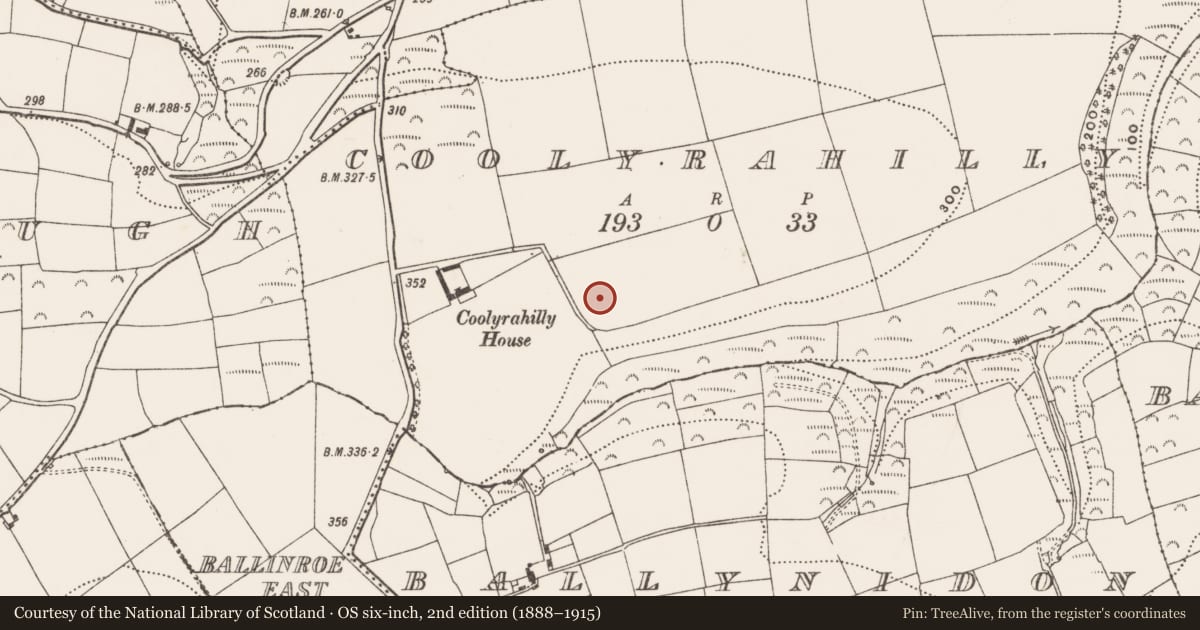 Ordnance Survey six-inch map, 2nd edition (1888–1915) covering the location of Ringfort - rath, Coolyrahilly, County Cork, with a pin at the register's coordinates