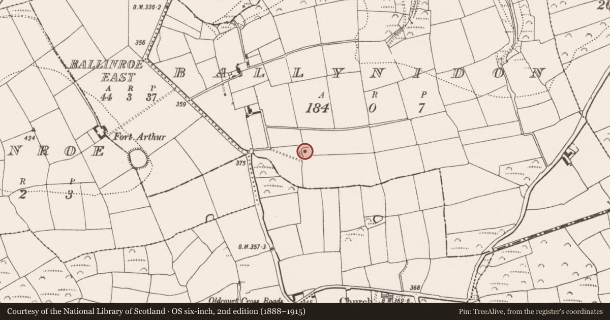 Ordnance Survey six-inch map, 2nd edition (1888–1915) covering the location of Ringfort - rath, Ballynidon, County Cork, with a pin at the register's coordinates