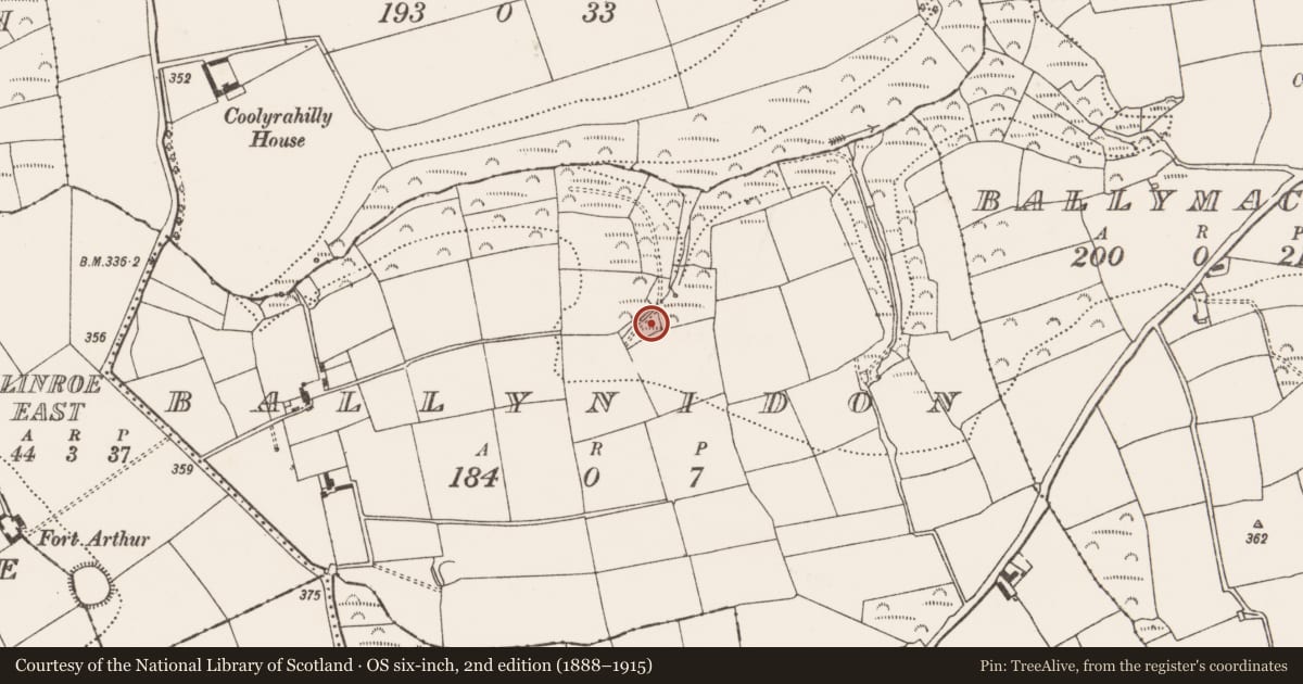 Ordnance Survey six-inch map, 2nd edition (1888–1915) covering the location of Fulacht fia, Ballynidon, County Cork, with a pin at the register's coordinates