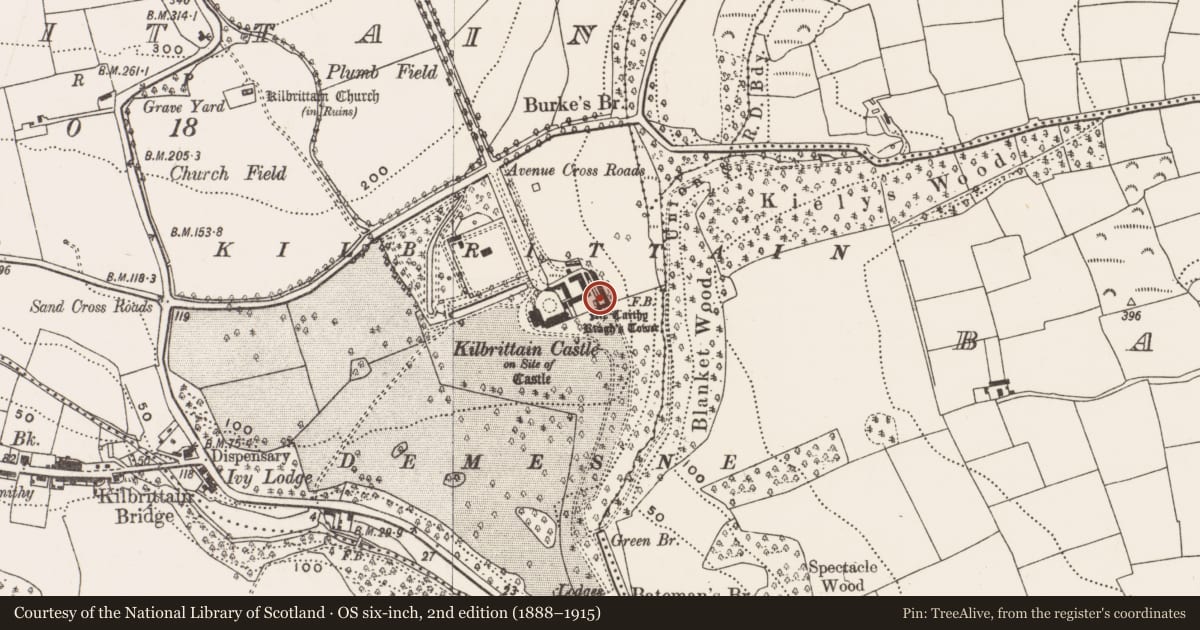 Ordnance Survey six-inch map, 2nd edition (1888–1915) covering the location of Bawn, Kilbrittain, County Cork, with a pin at the register's coordinates