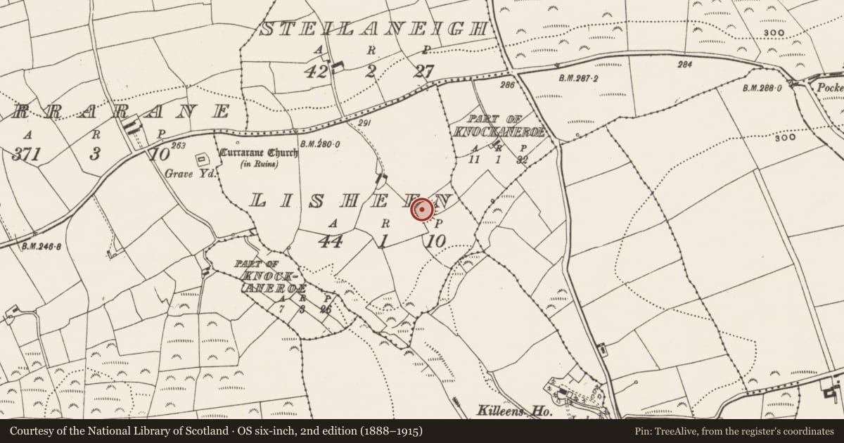 Ordnance Survey six-inch map, 2nd edition (1888–1915) covering the location of Ringfort - rath, Lisheen, County Cork, with a pin at the register's coordinates
