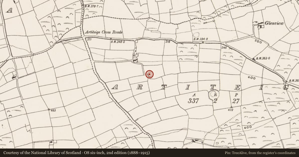 Ordnance Survey six-inch map, 2nd edition (1888–1915) covering the location of Ringfort - rath, Artiteige, County Cork, with a pin at the register's coordinates