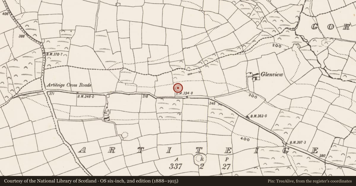 Ordnance Survey six-inch map, 2nd edition (1888–1915) covering the location of Ringfort - rath, Artiteige, County Cork, with a pin at the register's coordinates