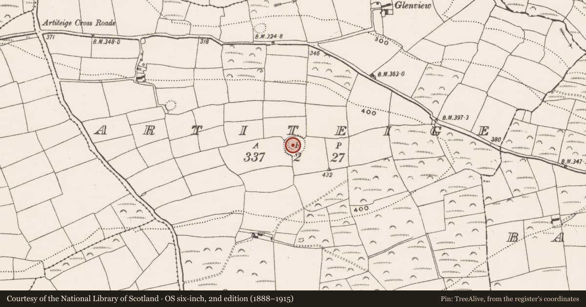 Ordnance Survey six-inch map, 2nd edition (1888–1915) covering the location of Enclosure, Artiteige, County Cork, with a pin at the register's coordinates
