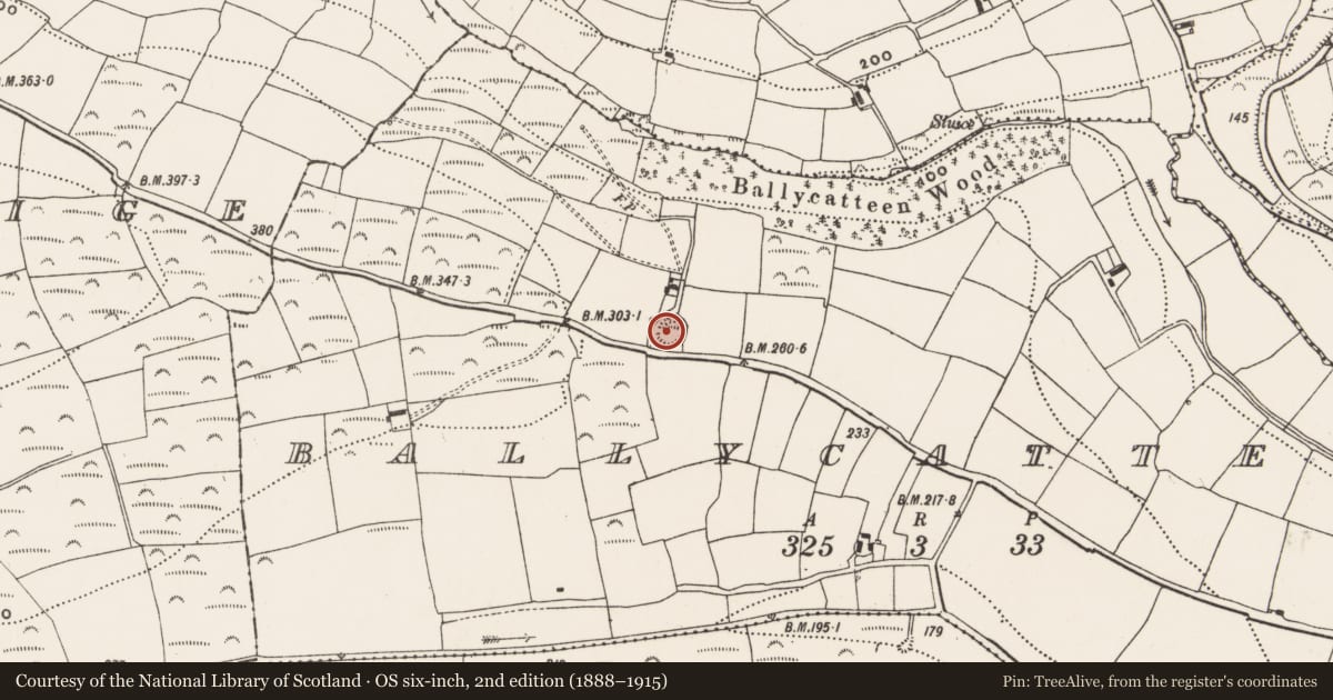 Ordnance Survey six-inch map, 2nd edition (1888–1915) covering the location of Ringfort - rath, Ballcatteen, County Cork, with a pin at the register's coordinates