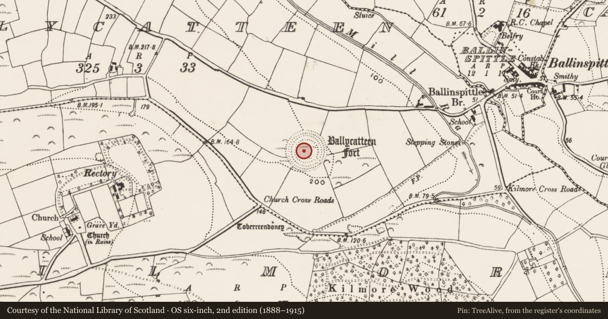 Ordnance Survey six-inch map, 2nd edition (1888–1915) covering the location of Ringfort - rath, Ballycatten, County Cork, with a pin at the register's coordinates
