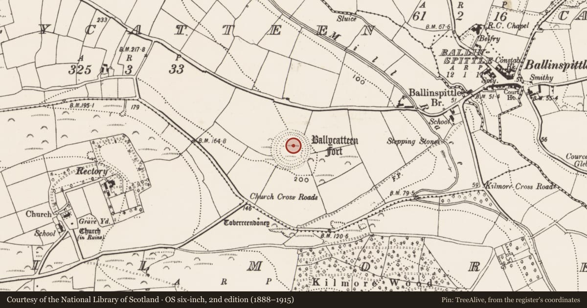 Ordnance Survey six-inch map, 2nd edition (1888–1915) covering the location of Souterrain, Ballycatten, County Cork, with a pin at the register's coordinates