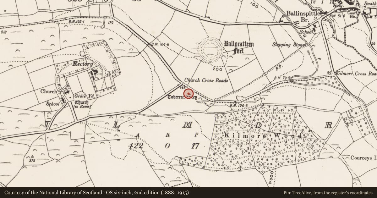 Ordnance Survey six-inch map, 2nd edition (1888–1915) covering the location of Ritual site - holy well, Kilmore, County Cork, with a pin at the register's coordinates