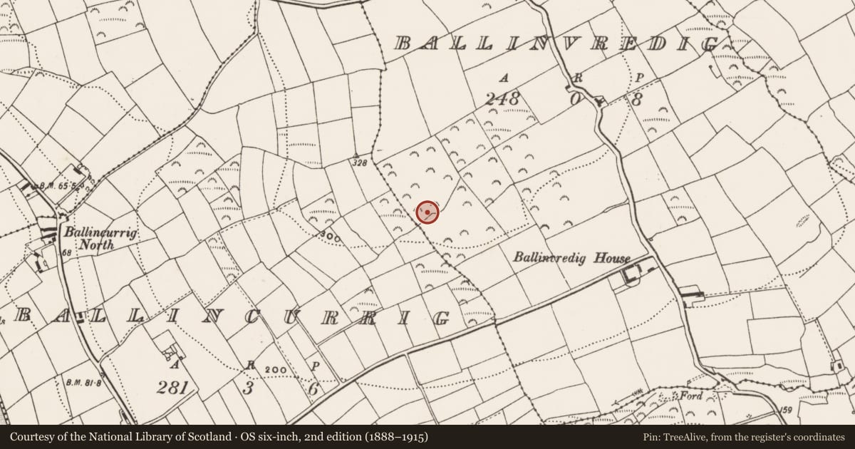 Ordnance Survey six-inch map, 2nd edition (1888–1915) covering the location of Enclosure, Ballinvredig, County Cork, with a pin at the register's coordinates