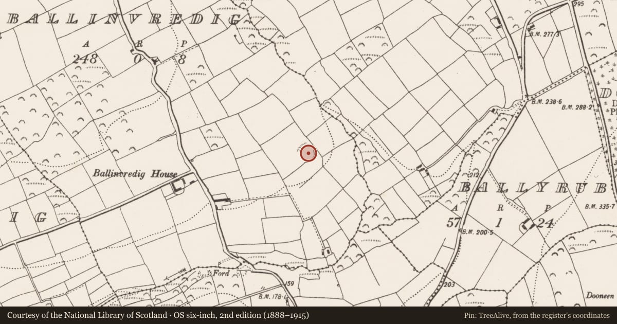 Ordnance Survey six-inch map, 2nd edition (1888–1915) covering the location of Ringfort - rath, Ballinvredig, County Cork, with a pin at the register's coordinates