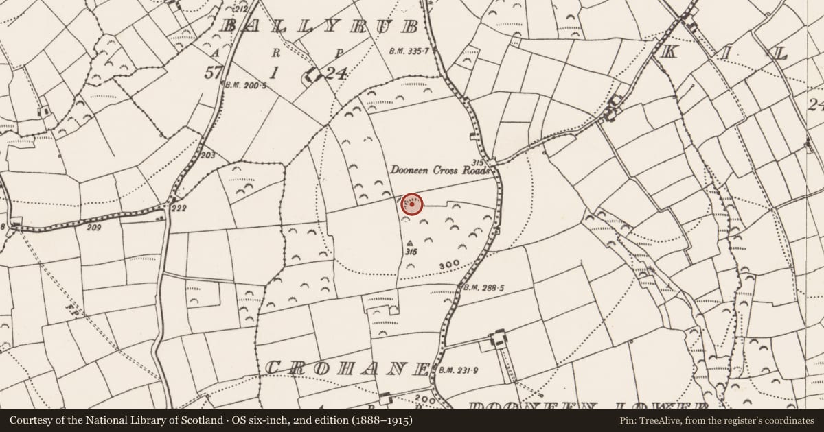Ordnance Survey six-inch map, 2nd edition (1888–1915) covering the location of Ringfort - rath, Crohane, County Cork, with a pin at the register's coordinates