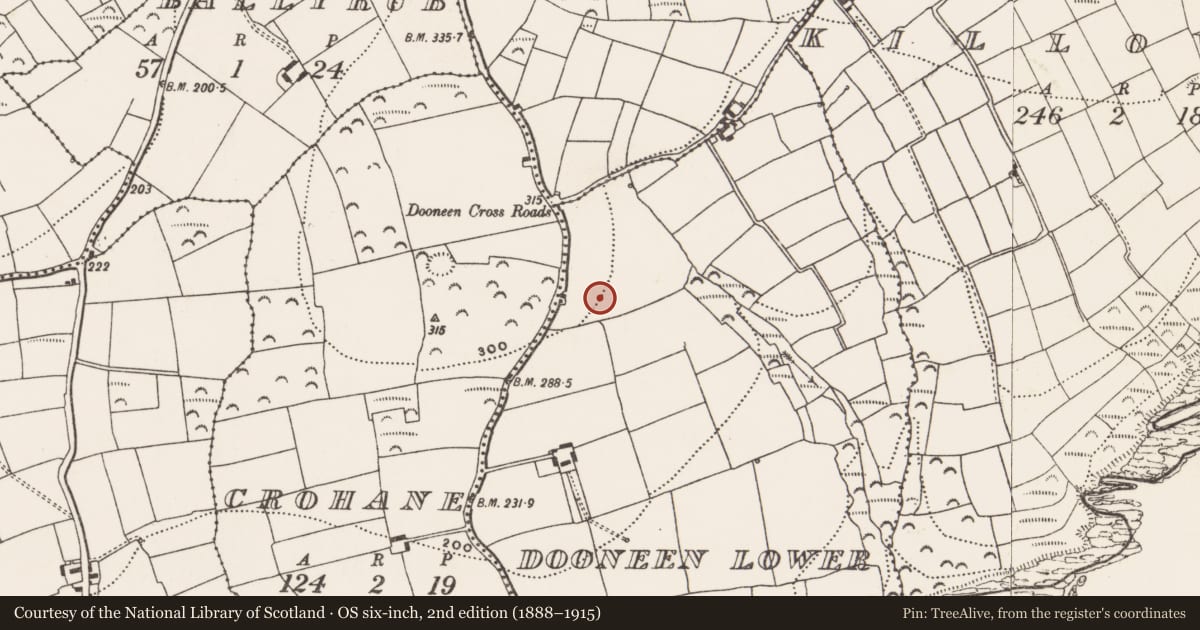 Ordnance Survey six-inch map, 2nd edition (1888–1915) covering the location of Ringfort - rath, Dooneen Lower, County Cork, with a pin at the register's coordinates