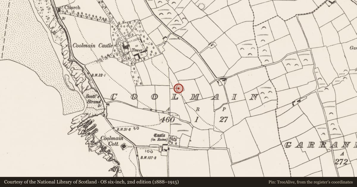 Ordnance Survey six-inch map, 2nd edition (1888–1915) covering the location of Ringfort - rath, Coolmain, County Cork, with a pin at the register's coordinates