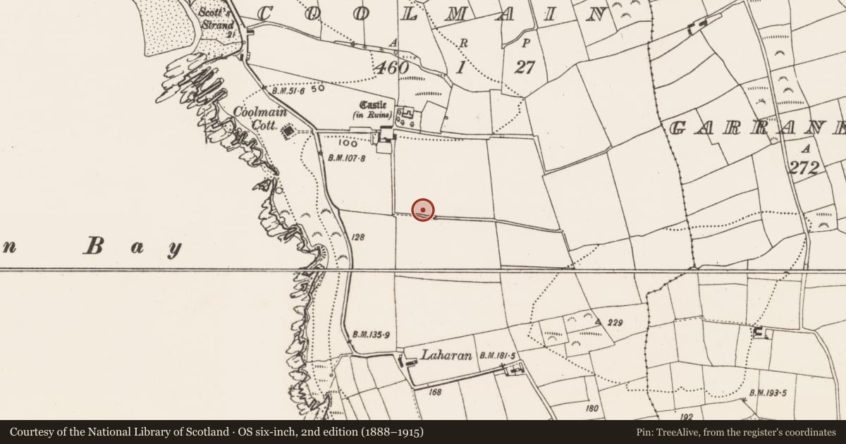 Ordnance Survey six-inch map, 2nd edition (1888–1915) covering the location of Ringfort - rath, Coolmain, County Cork, with a pin at the register's coordinates