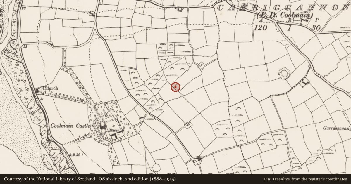Ordnance Survey six-inch map, 2nd edition (1888–1915) covering the location of Ringfort - rath, Coolmain, County Cork, with a pin at the register's coordinates