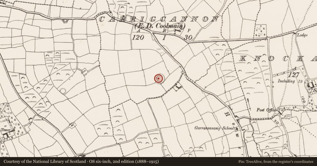 Ordnance Survey six-inch map, 2nd edition (1888–1915) covering the location of Ringfort - rath, Carrigcannon (Carbery East By., Ringrone Par.), County Cork, with a pin at the register's coordinates