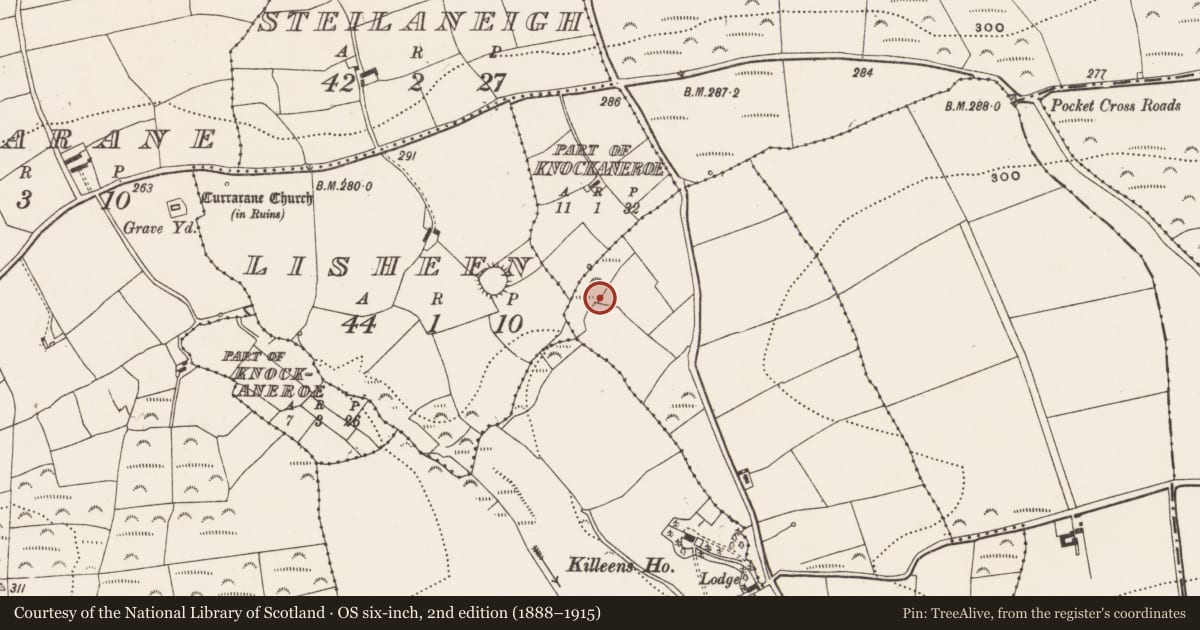 Ordnance Survey six-inch map, 2nd edition (1888–1915) covering the location of Fulacht fia, Clashreagh, County Cork, with a pin at the register's coordinates