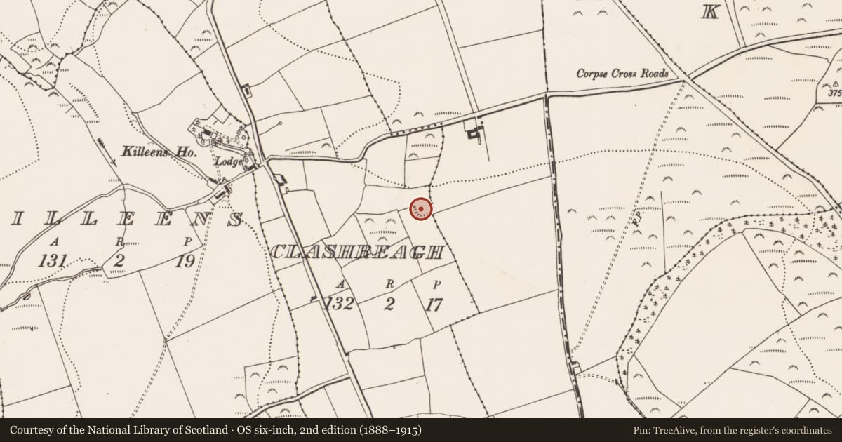 Ordnance Survey six-inch map, 2nd edition (1888–1915) covering the location of Ringfort - rath, Clashreagh, County Cork, with a pin at the register's coordinates