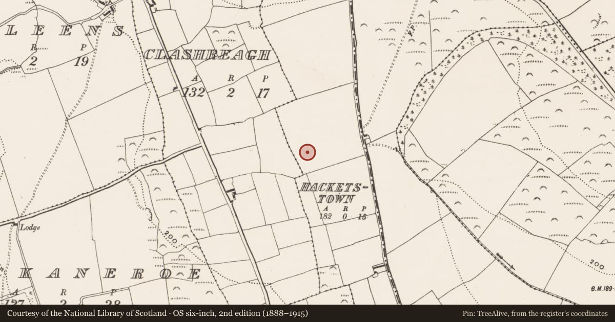 Ordnance Survey six-inch map, 2nd edition (1888–1915) covering the location of Fulacht fia, Hacketstown, County Cork, with a pin at the register's coordinates