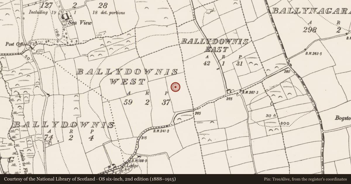 Ordnance Survey six-inch map, 2nd edition (1888–1915) covering the location of Ringfort - rath, Ballydownis West, County Cork, with a pin at the register's coordinates