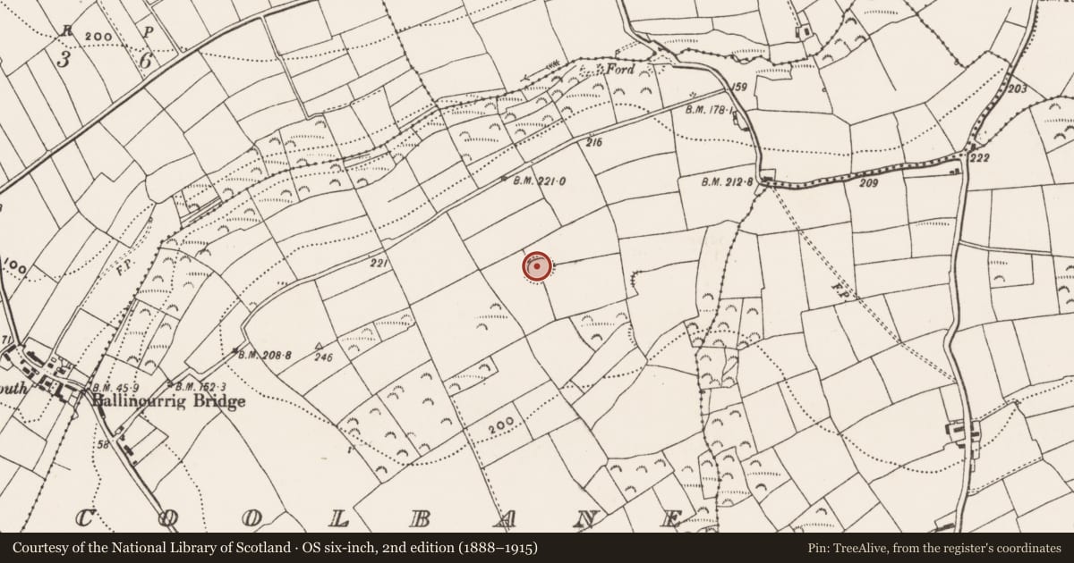 Ordnance Survey six-inch map, 2nd edition (1888–1915) covering the location of Ringfort - rath, Coolbane, County Cork, with a pin at the register's coordinates