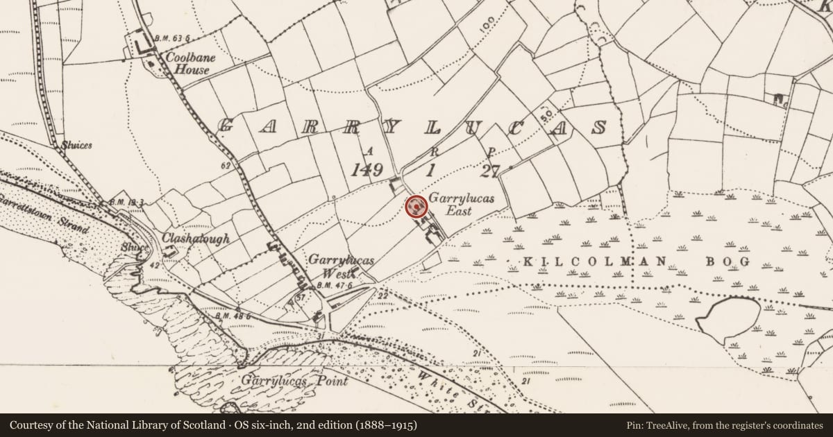 Ordnance Survey six-inch map, 2nd edition (1888–1915) covering the location of Settlement cluster, Garrylucas, County Cork, with a pin at the register's coordinates