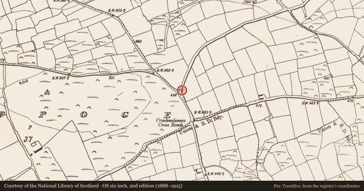 Ordnance Survey six-inch map, 2nd edition (1888–1915) covering the location of Burial ground, Killaneetig, County Cork, with a pin at the register's coordinates