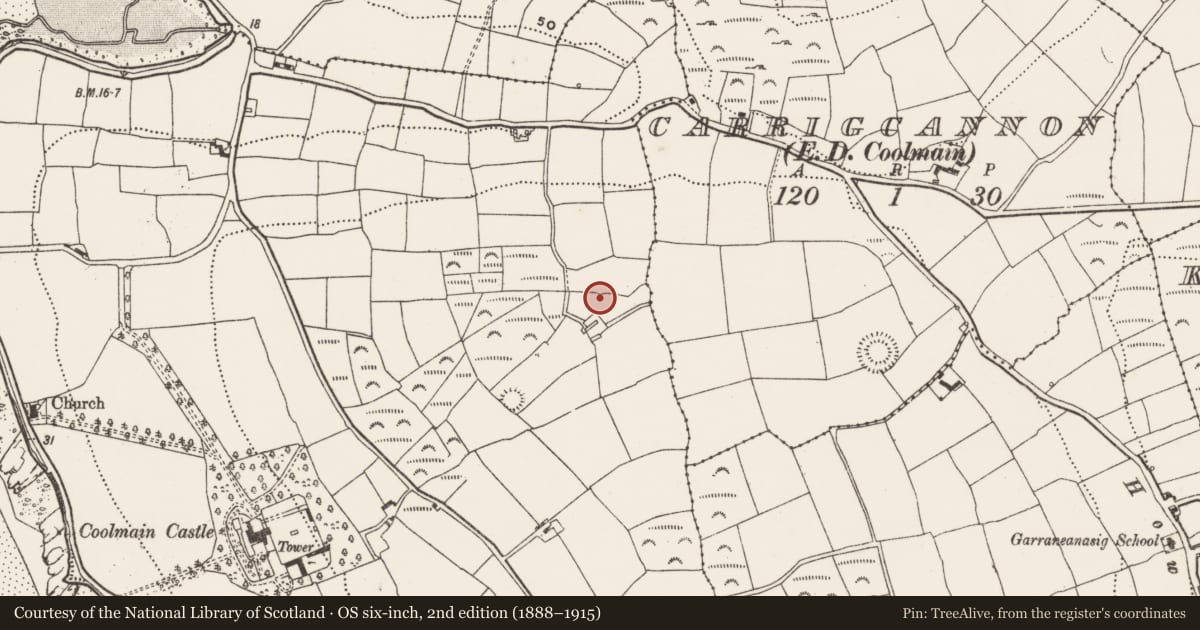 Ordnance Survey six-inch map, 2nd edition (1888–1915) covering the location of Ringfort - rath, Coolmain, County Cork, with a pin at the register's coordinates