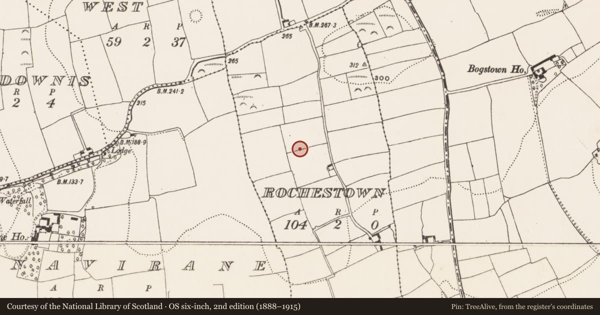 Ordnance Survey six-inch map, 2nd edition (1888–1915) covering the location of Enclosure, Rochestown, County Cork, with a pin at the register's coordinates