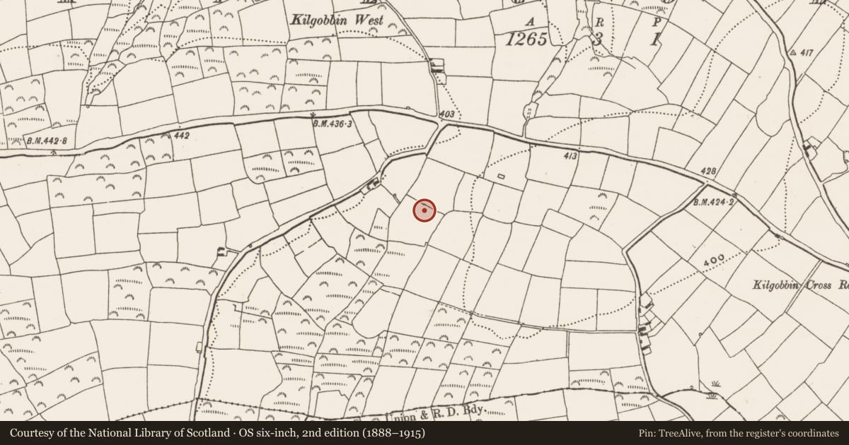 Ordnance Survey six-inch map, 2nd edition (1888–1915) covering the location of Moated site, Kilgobbin, County Cork, with a pin at the register's coordinates
