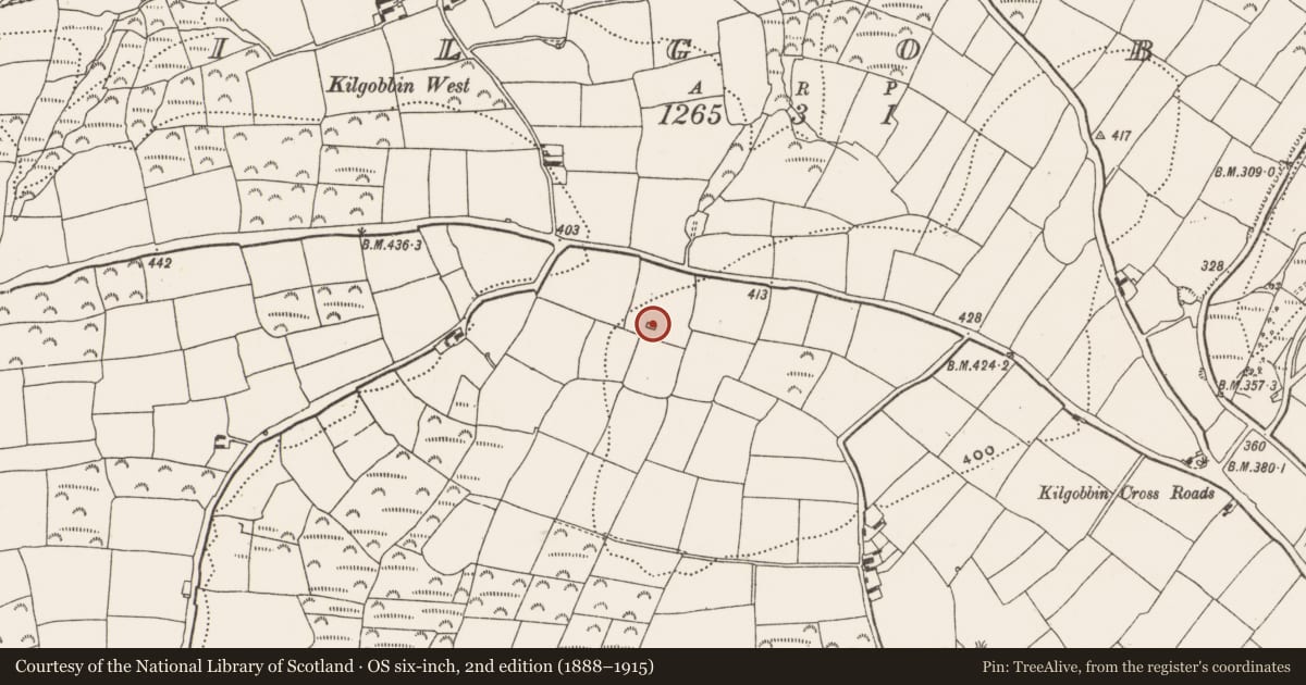 Ordnance Survey six-inch map, 2nd edition (1888–1915) covering the location of Church, Kilgobbin, County Cork, with a pin at the register's coordinates