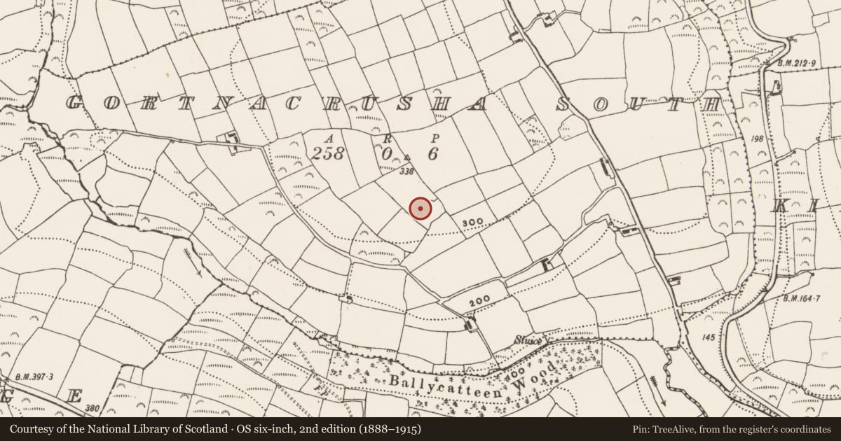 Ordnance Survey six-inch map, 2nd edition (1888–1915) covering the location of Ringfort - rath, Gortnacrusha South, County Cork, with a pin at the register's coordinates