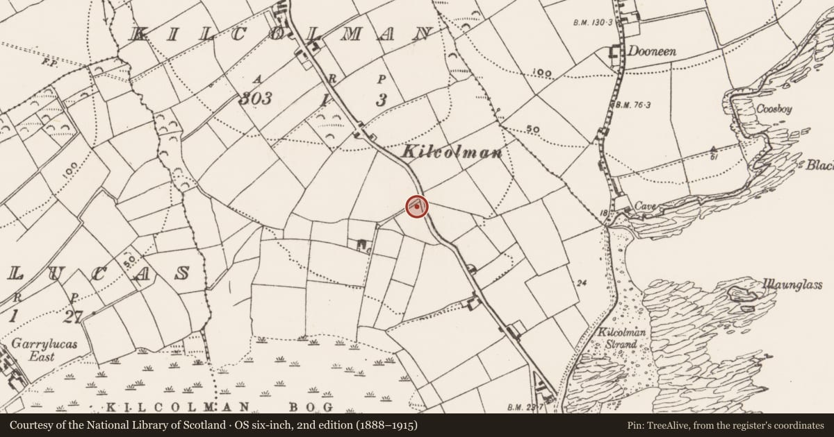 Ordnance Survey six-inch map, 2nd edition (1888–1915) covering the location of Church, Kilcolman, County Cork, with a pin at the register's coordinates