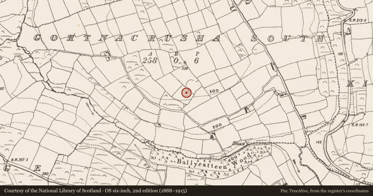 Ordnance Survey six-inch map, 2nd edition (1888–1915) covering the location of Enclosure, Gortnacrusha South, County Cork, with a pin at the register's coordinates