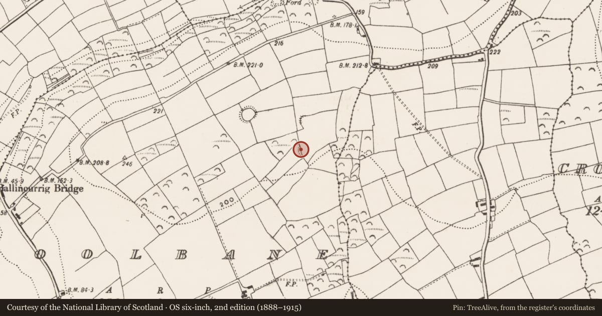 Ordnance Survey six-inch map, 2nd edition (1888–1915) covering the location of Earthwork, Coolbane, County Cork, with a pin at the register's coordinates