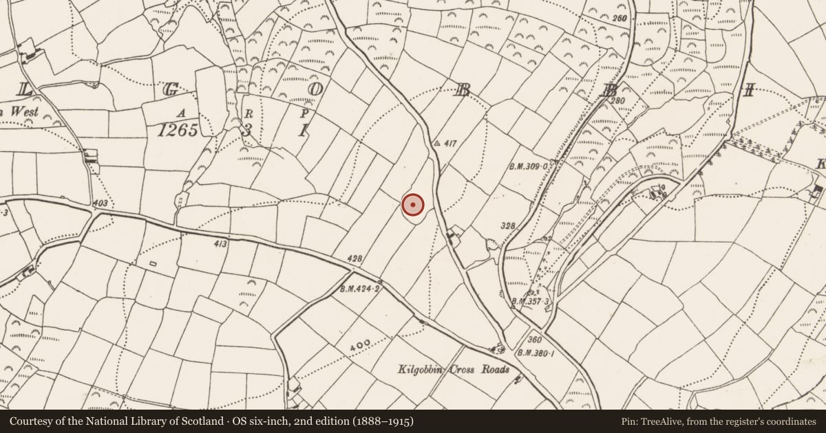 Ordnance Survey six-inch map, 2nd edition (1888–1915) covering the location of Ringfort - rath, Kilgobbin, County Cork, with a pin at the register's coordinates