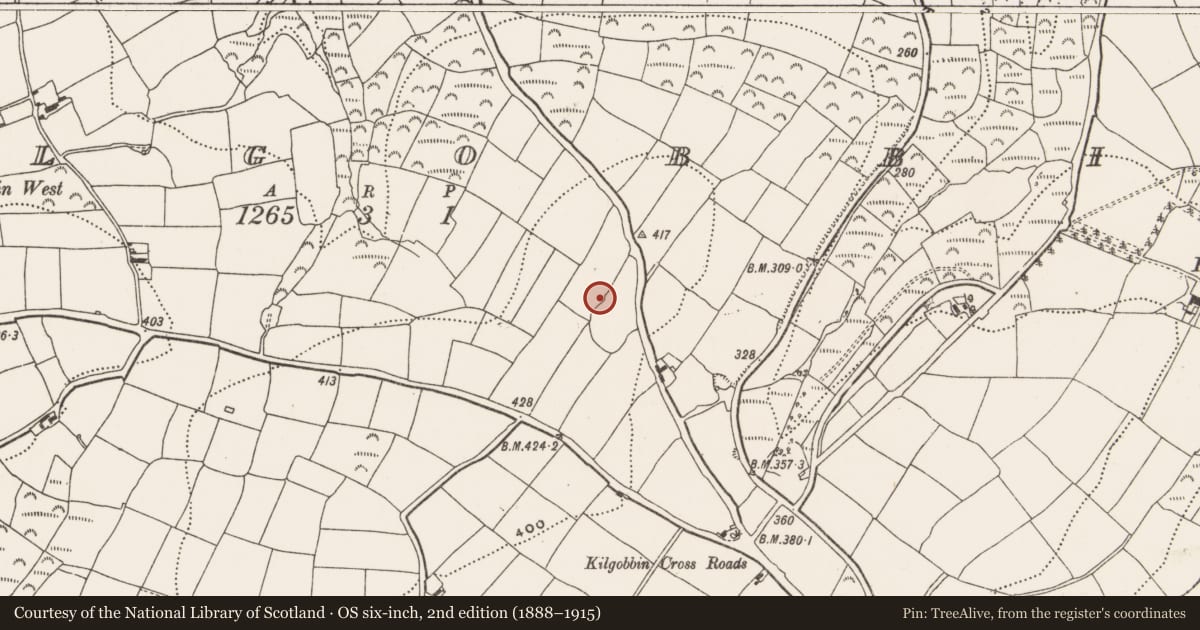 Ordnance Survey six-inch map, 2nd edition (1888–1915) covering the location of Souterrain, Kilgobbin, County Cork, with a pin at the register's coordinates