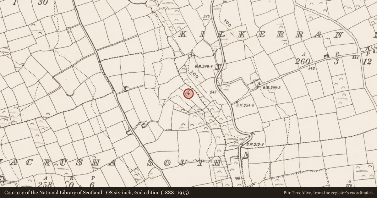 Ordnance Survey six-inch map, 2nd edition (1888–1915) covering the location of Mass-rock, Gortnacrusha South, County Cork, with a pin at the register's coordinates