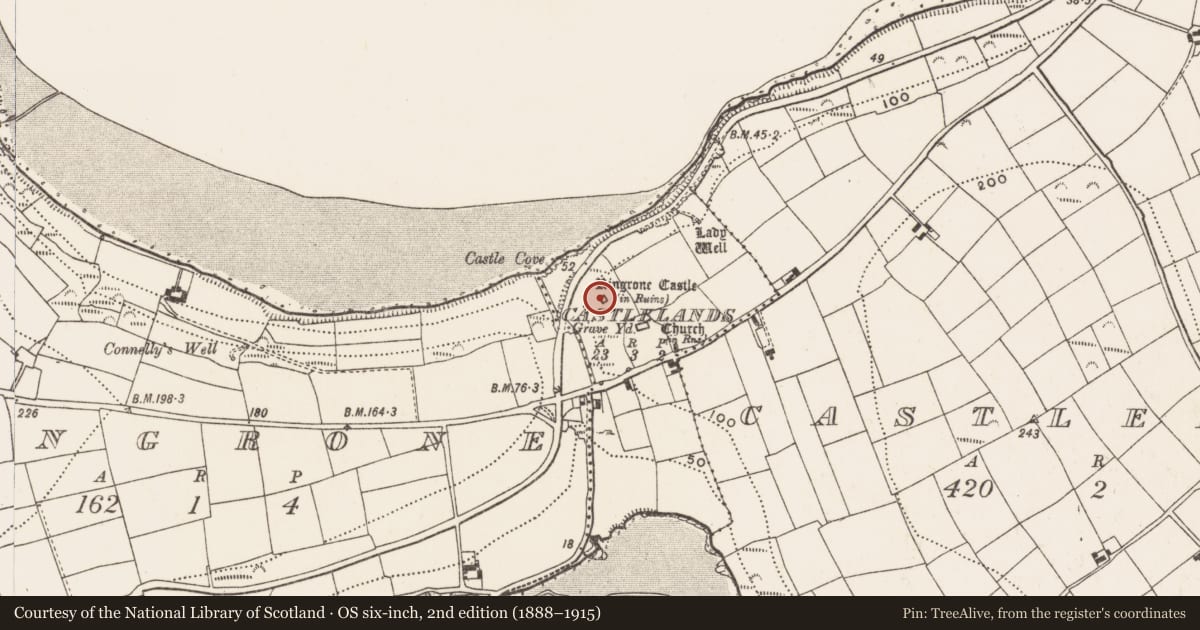 Ordnance Survey six-inch map, 2nd edition (1888–1915) covering the location of Castle - tower house, Castlelands, County Cork, with a pin at the register's coordinates