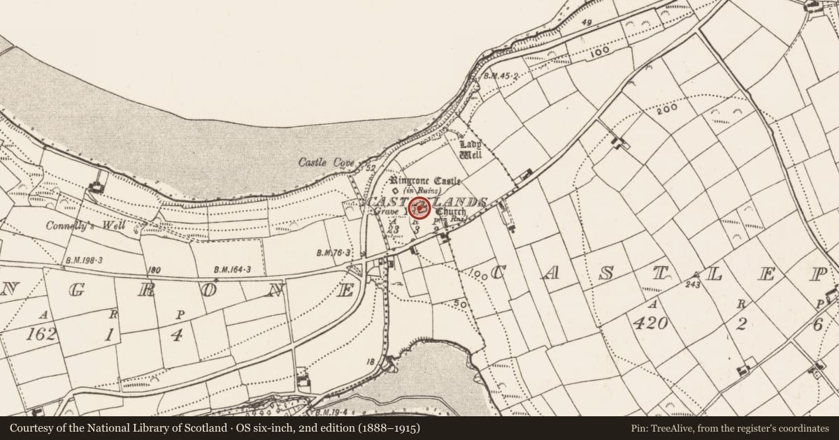 Ordnance Survey six-inch map, 2nd edition (1888–1915) covering the location of Church, Castlelands, County Cork, with a pin at the register's coordinates