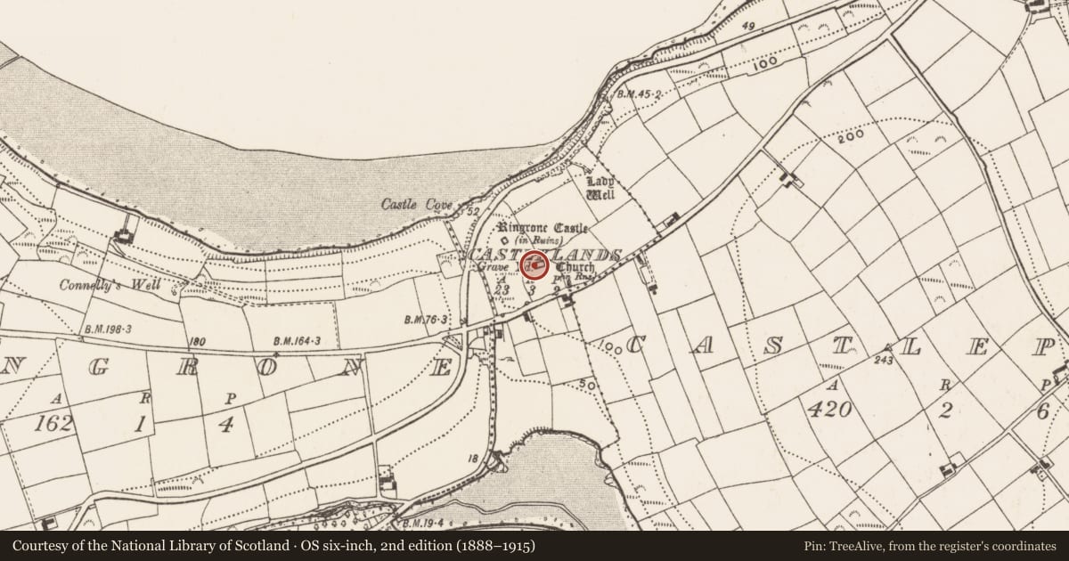 Ordnance Survey six-inch map, 2nd edition (1888–1915) covering the location of Graveyard, Castlelands, County Cork, with a pin at the register's coordinates