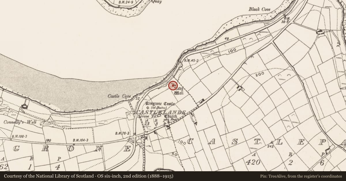 Ordnance Survey six-inch map, 2nd edition (1888–1915) covering the location of Ritual site - holy well, Castlelands, County Cork, with a pin at the register's coordinates