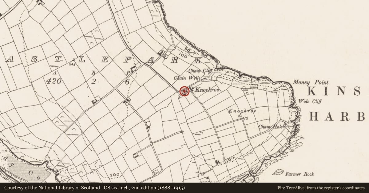 Ordnance Survey six-inch map, 2nd edition (1888–1915) covering the location of Settlement cluster, Castle-Park, County Cork, with a pin at the register's coordinates