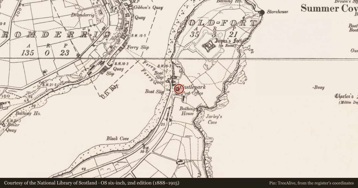 Ordnance Survey six-inch map, 2nd edition (1888–1915) covering the location of Fulacht fia, Castle-Park, County Cork, with a pin at the register's coordinates